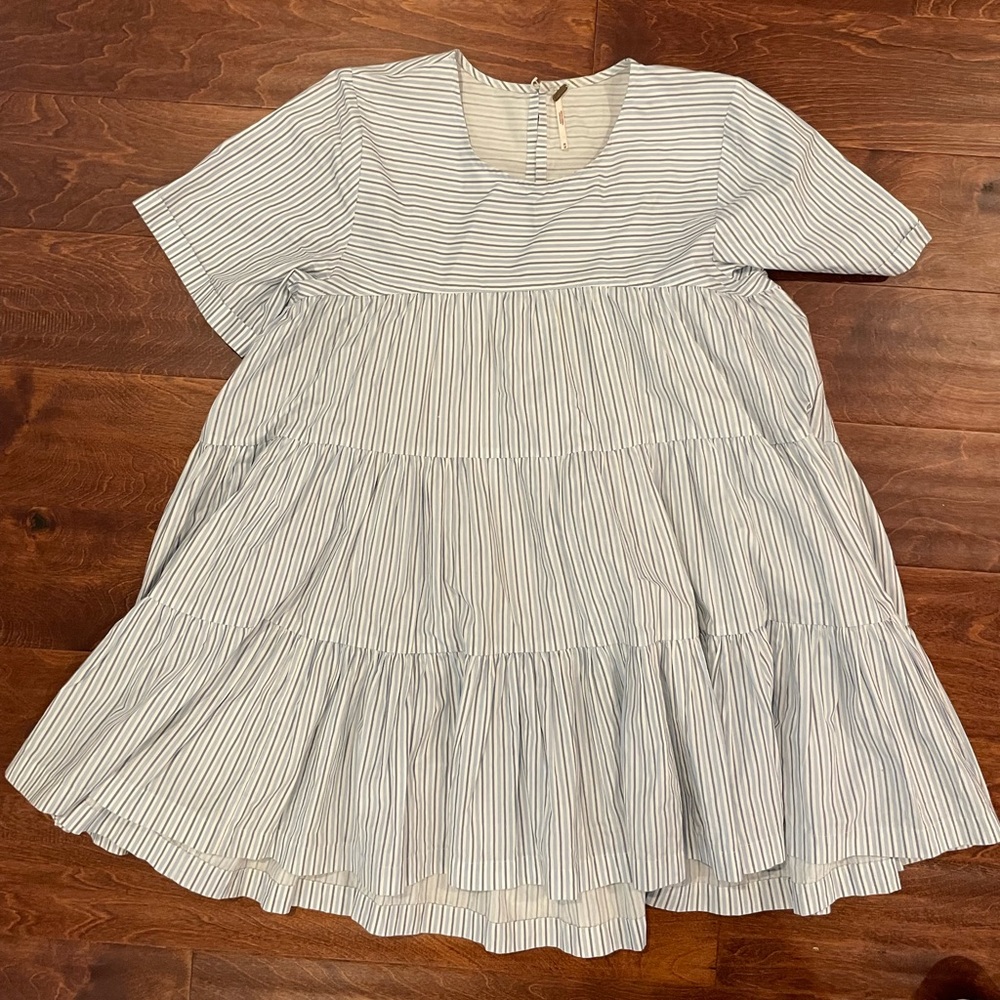 Free People Blue Striped babydoll top